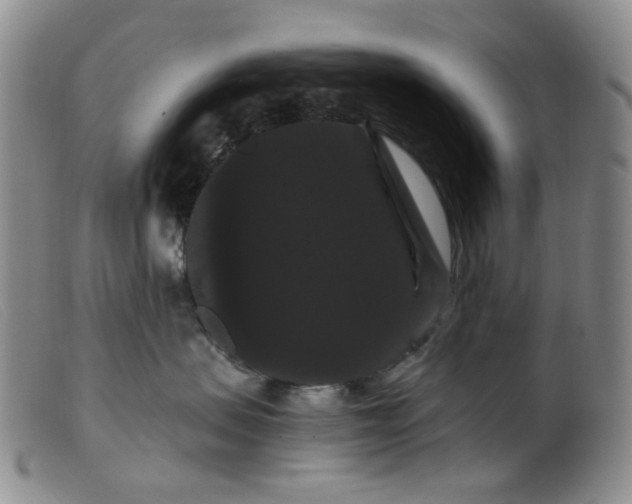 X0000099380479200805221810