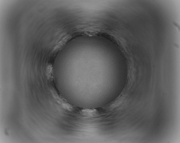 X0000099380480200805221810