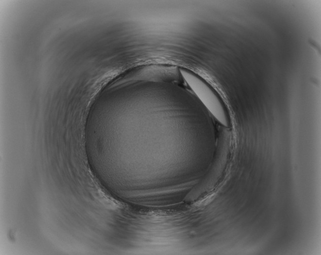 X0000099380481200805221810