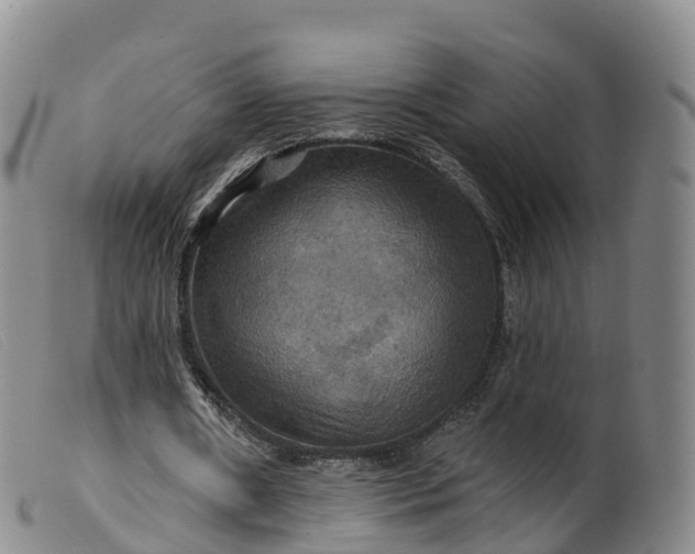 X0000099380482200805221810