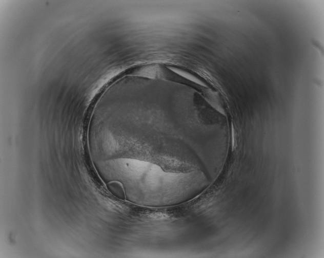 X0000099380483200805221810