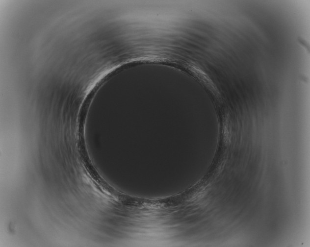 X0000099380484200805221810