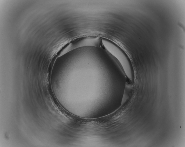 X0000099380485200805221810