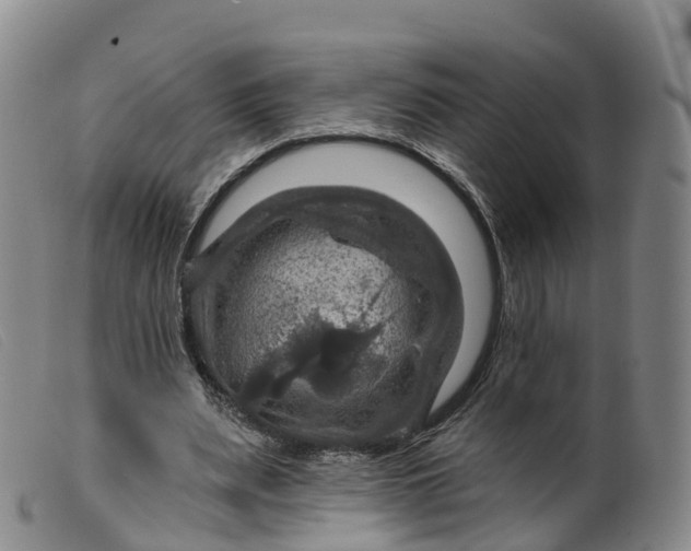 X0000099380487200805221810