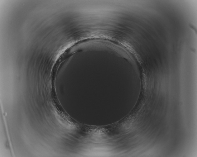 X0000099380488200805221810