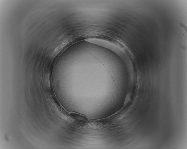 X0000099380489200805221810