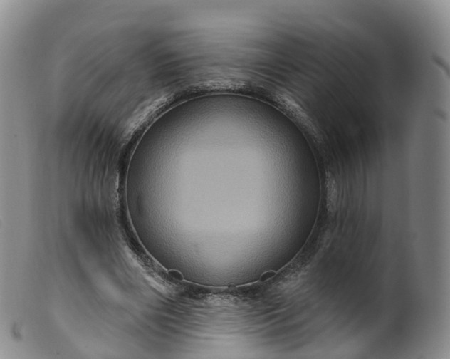 X0000099380490200805221810