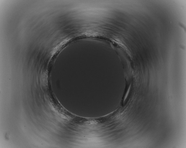 X0000099380492200805221810