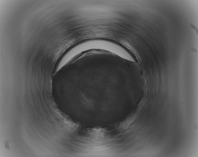 X0000099380493200805221810