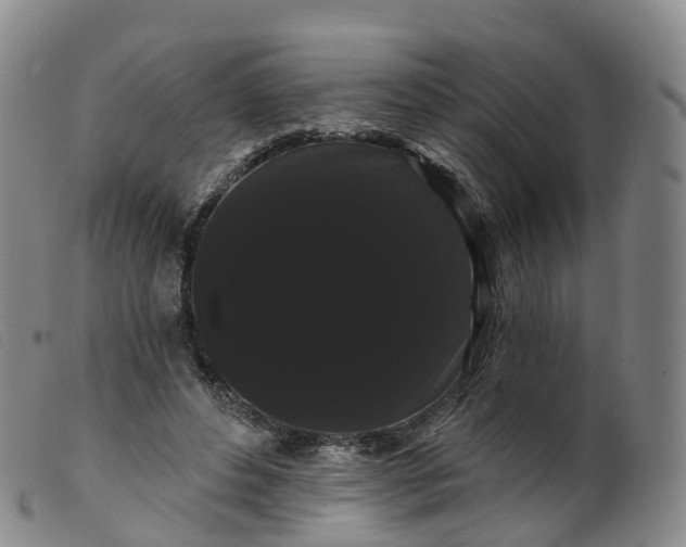 X0000099380496200805221810