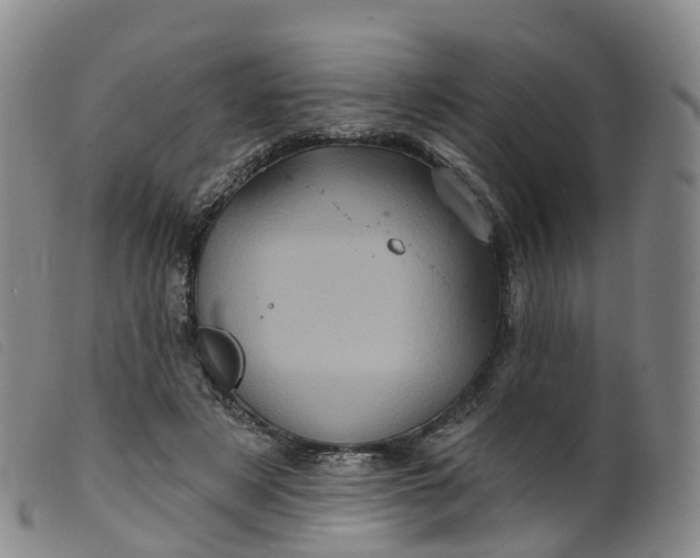 X0000099380497200805221810