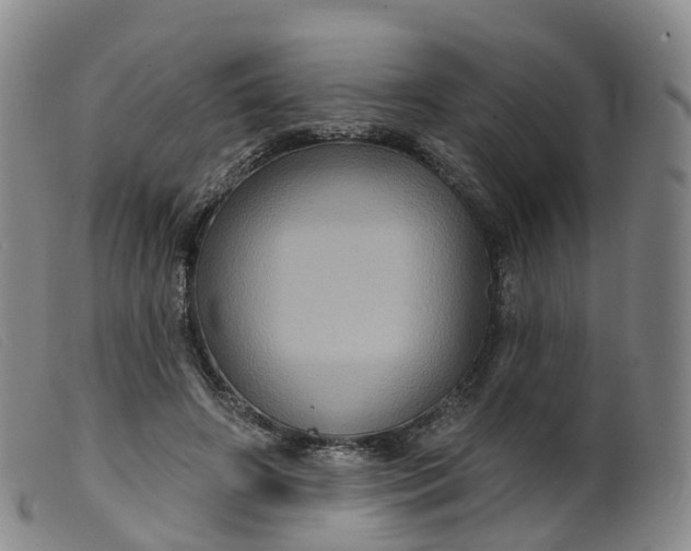 X0000099380498200805221810