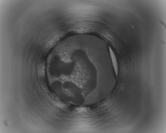 X0000099380499200805221810