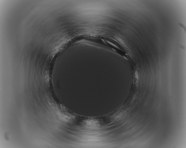 X0000099380500200805221810