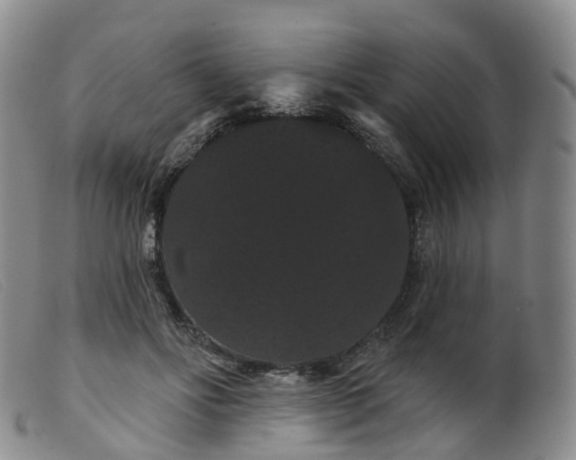 X0000099380502200805221809