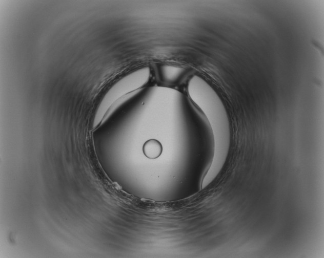 X0000099380503200805221809