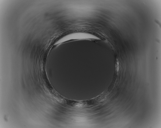 X0000099380504200805221809