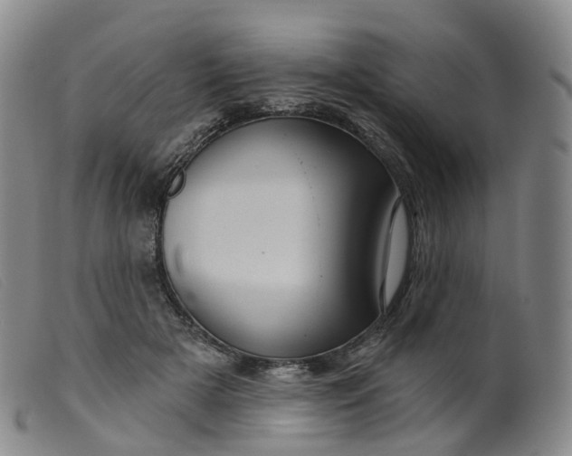 X0000099380505200805221809