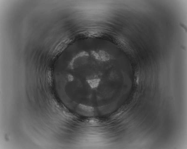 X0000099380506200805221809