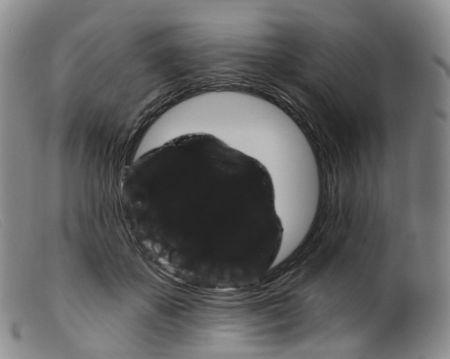 X0000099380507200805221809