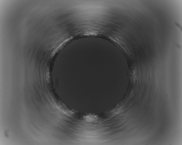 X0000099380508200805221809