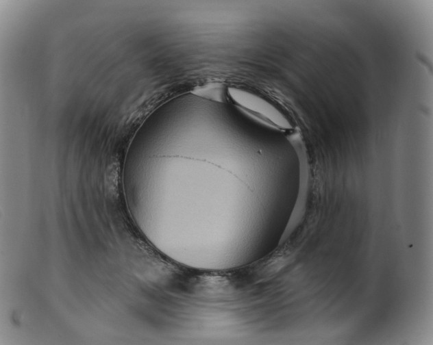 X0000099380509200805221809