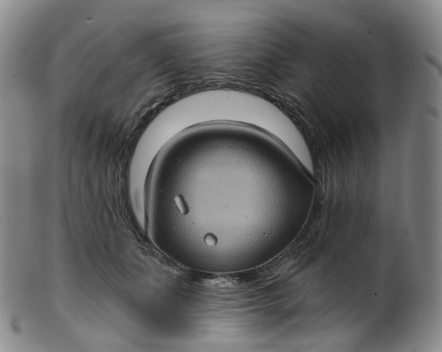 X0000099380511200805221809