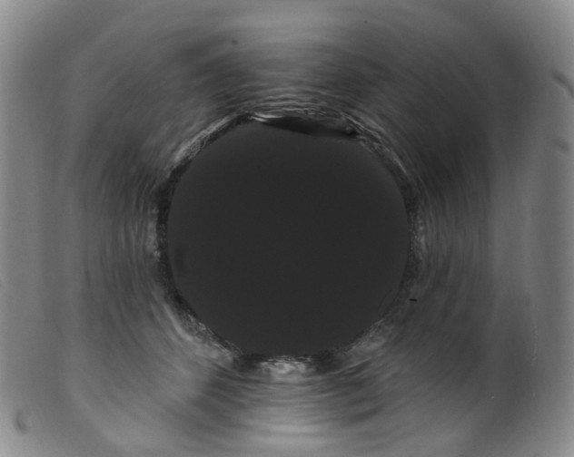 X0000099380512200805221809