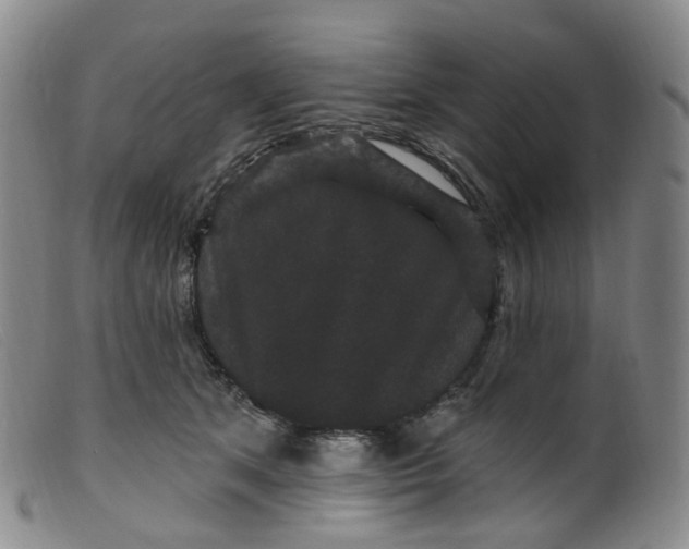 X0000099380513200805221809