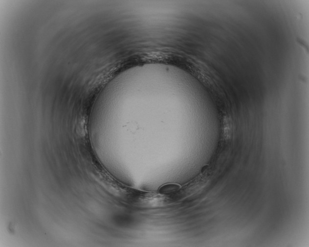 X0000099380514200805221809