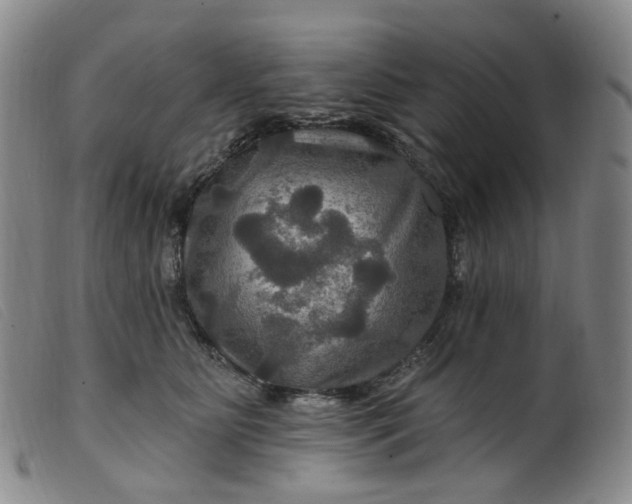 X0000099380515200805221809