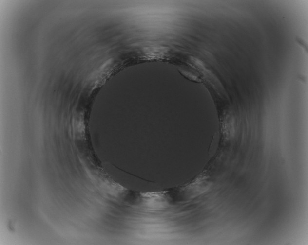 X0000099380516200805221809