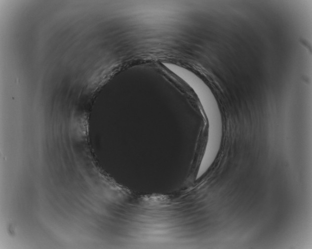 X0000099380517200805221809