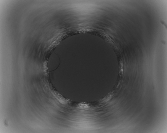 X0000099380519200805221809