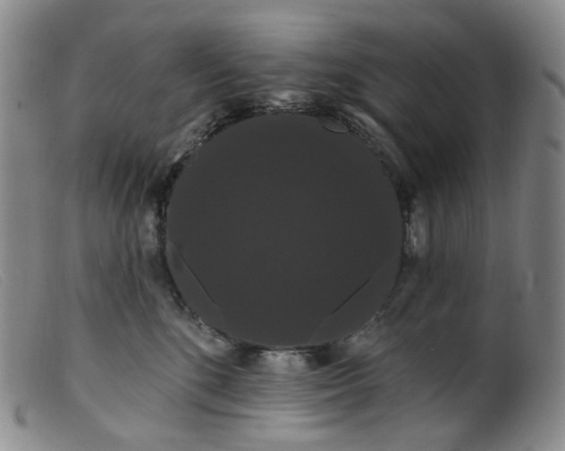 X0000099380520200805221809