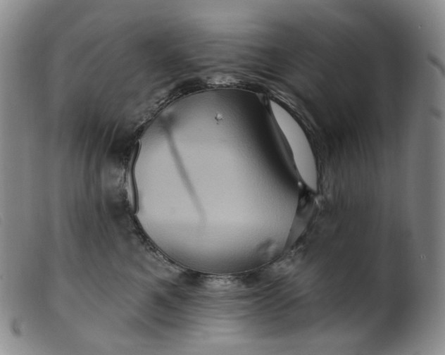 X0000099380521200805221809