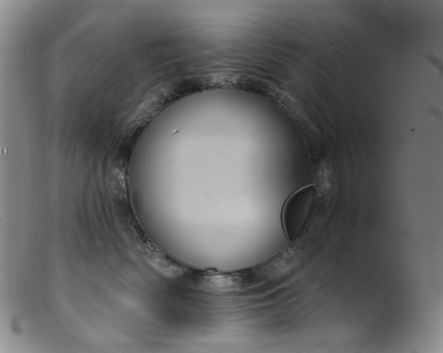 X0000099380522200805221809