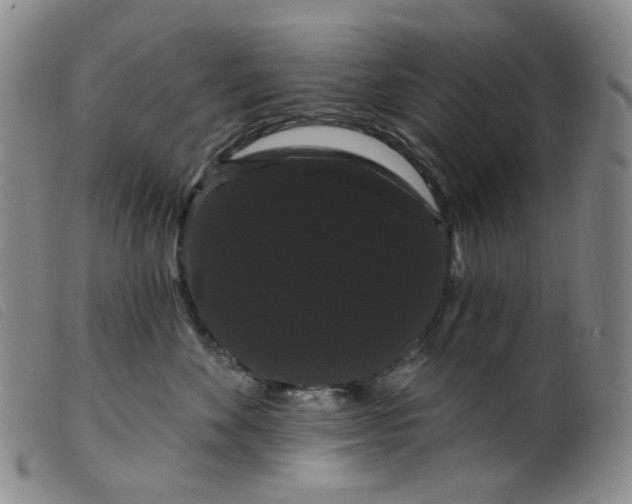 X0000099380524200805221809