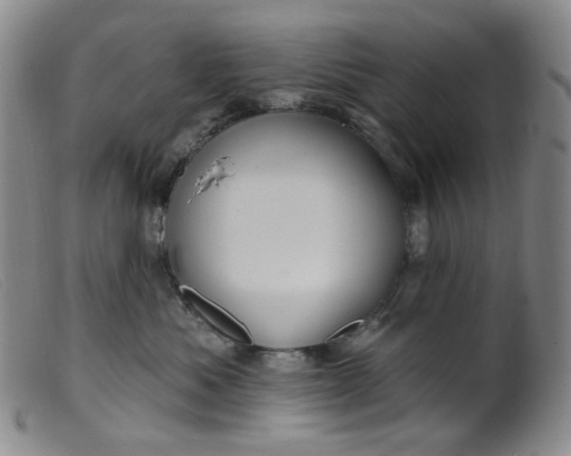 X0000099380525200805221809