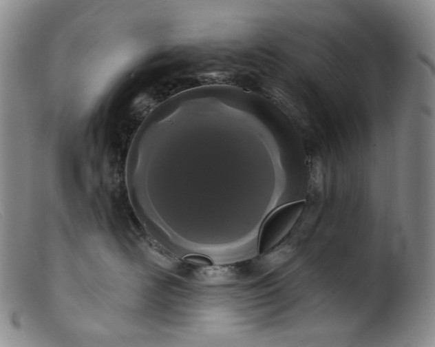 X0000099380526200805221809