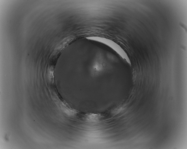 X0000099380527200805221809