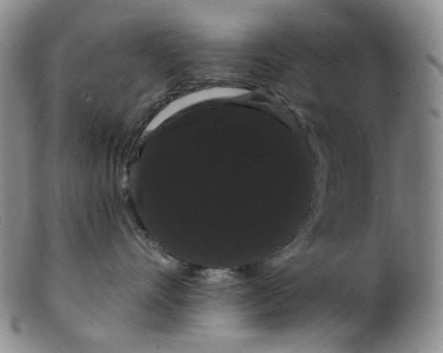 X0000099380528200805221809