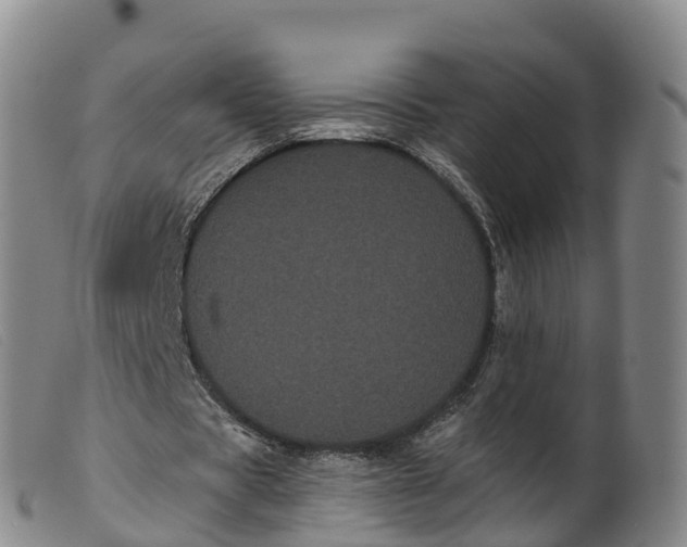 X0000099380529200805221808