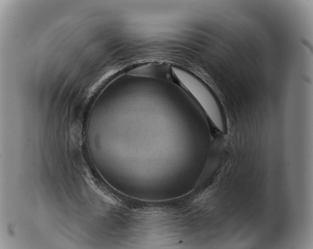 X0000099380530200805221808