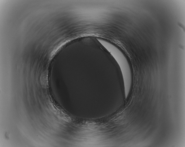 X0000099380531200805221808