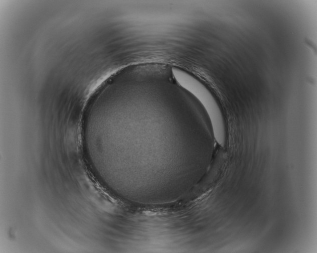 X0000099380532200805221808