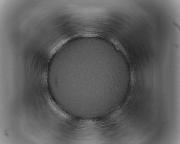 X0000099380533200805221809