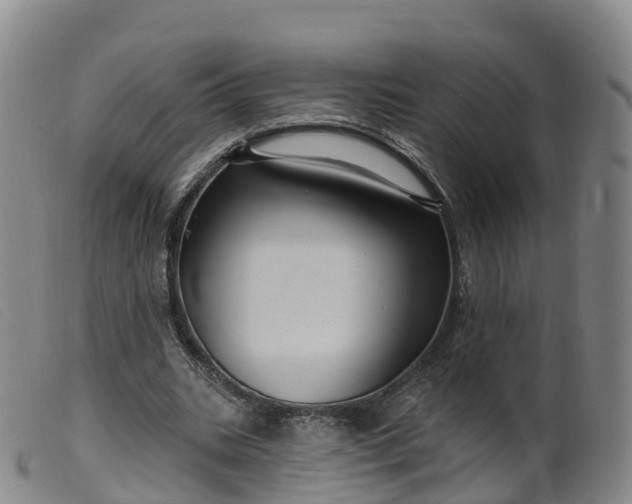 X0000099380535200805221809