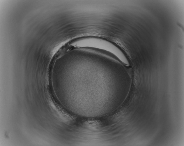 X0000099380536200805221809