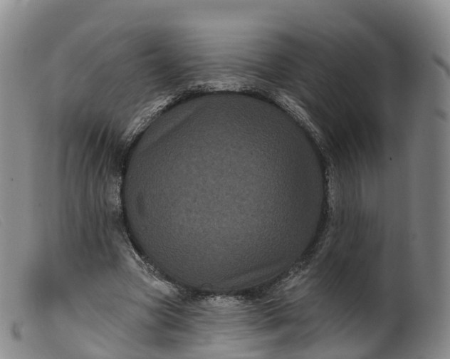 X0000099380537200805221809